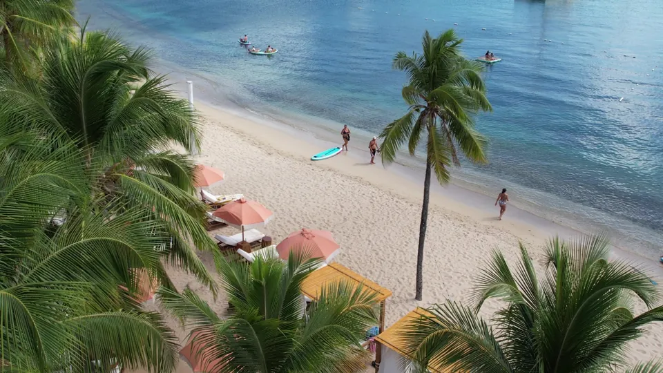 Palm-lined Galleon Beach and clear water in English Harbour, Antigua