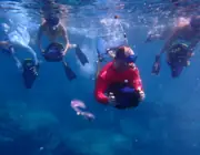 A group of guests using sea scooters just below the water surface