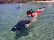 Guest using a sea scooter at the water surface