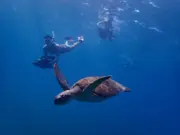 Sea turtle and scooter snorkelers in blue water