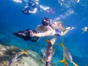 Guest using a powered sea scooter among reef fish