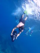 Guest swimming below the surface with a powered sea scooter