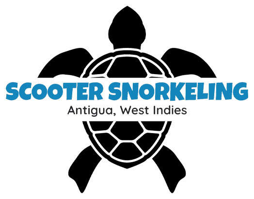 Skylork Scooter Snorkeling tours in Antigua West Indies black and blue turtle logo