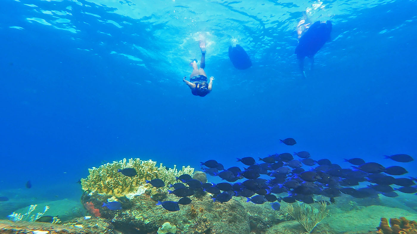 Explore Coral Reefs