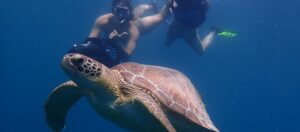 Swim with the turtles and sea life underwater with Skylork underwater scooter snorkeling tours