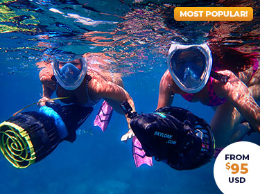 Tourists underwater in snorkel masks enjoy Skylork Scooter Snorkeling tours in Antigua